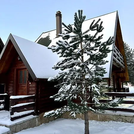 شاليه Cozy House