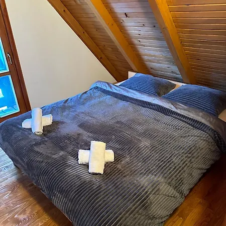 Cozy House
